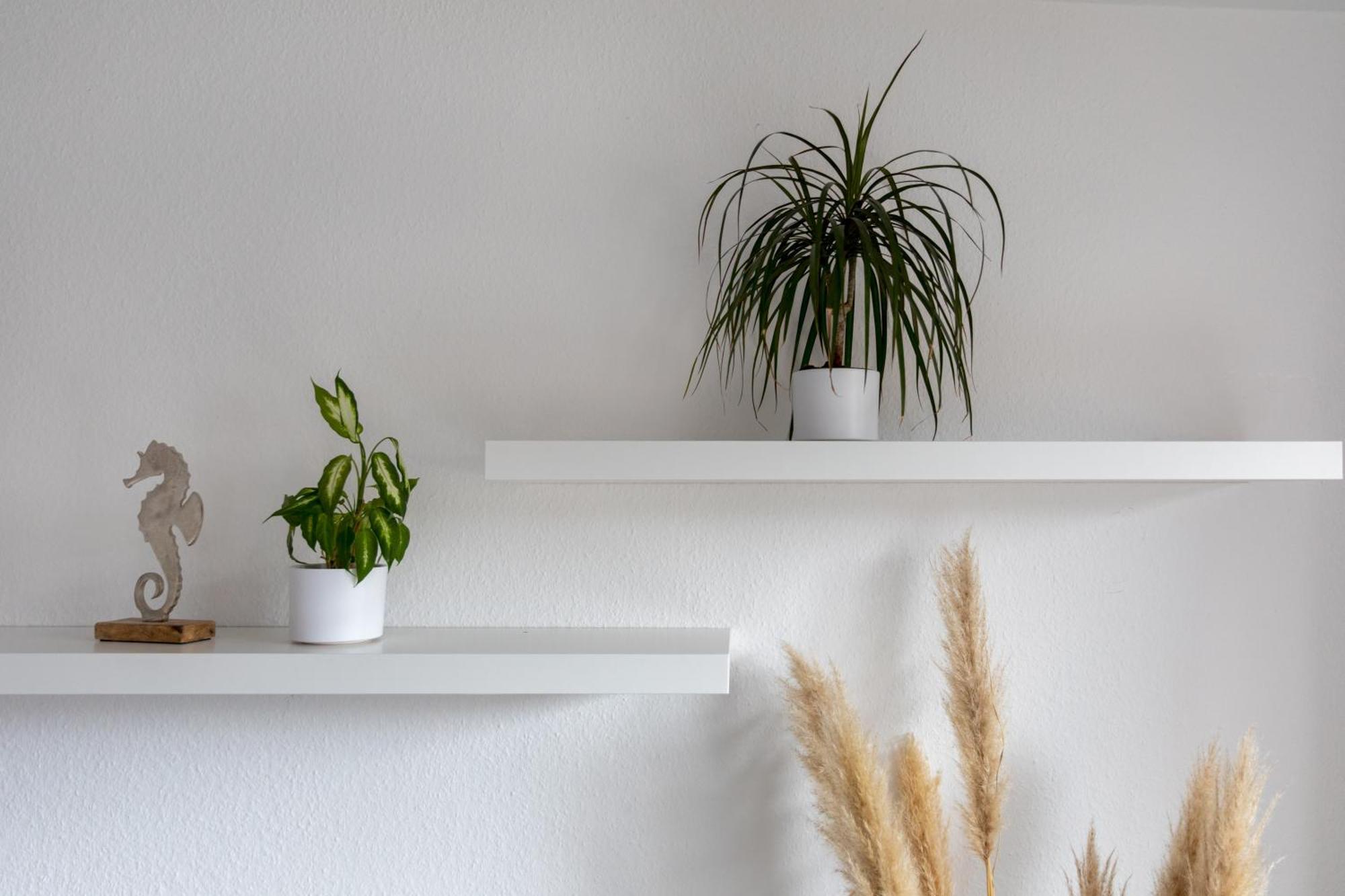 Biebrach's Apartment *